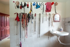 78a9ce6b-67f1-41b7-8963-e9c716b722cb