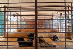 8cb621c7-e008-4cd6-a9a1-aa95a413a107