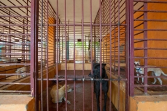 8f2a8694-7f03-463c-bc1f-c0ecd843f04a