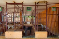 c8eadf42-d775-4354-8fa3-e4bfbf51fc3f