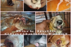 17b6fc3b-f9e8-40f4-90c7-b02d6026b3ba