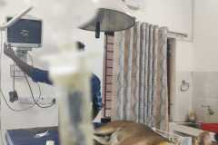 Human cruelty victim dog treatment