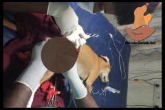 2-surgery-1