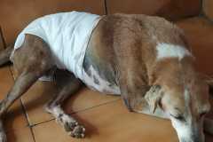 3eebe9bb-e964-4e42-b952-fbbd8c50fbfc