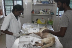 40af4271-75d2-455d-b4cb-115de63e9718