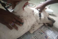 65d13dbb-4e8e-4150-85de-3d87f4ed2f42