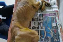 IMG-20200429-WA0012