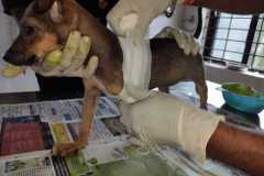 IMG-20200503-WA0050