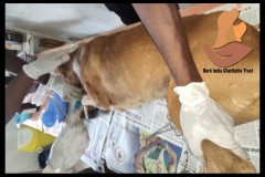 PicsArt_05-12-12.19.26