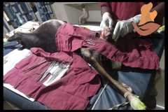 Picsart_22-08-16_16-48-31-2771