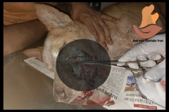 Picsart_22-08-19_09-53-03-3561