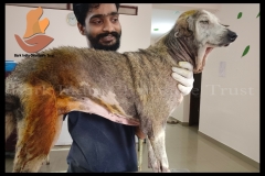 Picsart_22-08-21_10-16-45-8001