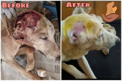 Picsart_22-10-01_09-59-20-1541