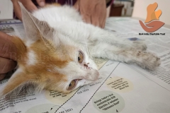 Picsart_22-11-07_09-09-56-7811