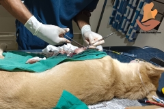 Picsart_22-11-08_09-12-31-3311