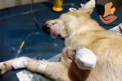 Picsart_22-11-08_09-16-53-9281