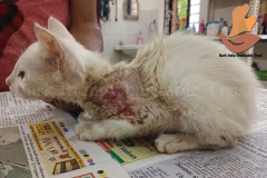 Picsart_22-11-14_08-42-16-2181