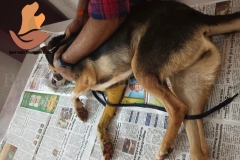 Picsart_22-11-24_11-18-56-5591