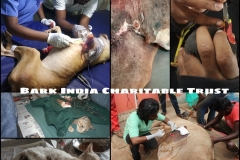 cbb321ec-b3e8-44d9-b00e-5b0796edaf1e