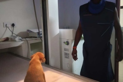 e40f84d4-1842-4fc3-a466-c1112d5bfa6d