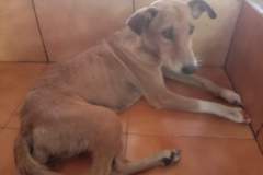 received_908103726319576