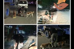 1_PicsArt_05-20-03.59.02