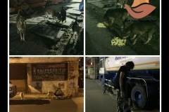 1_PicsArt_05-20-04.01.09