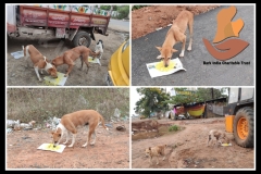 1_PicsArt_05-29-09.02.50