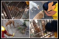 1_PicsArt_05-29-09.12.12