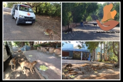 1_PicsArt_06-06-09.03.30