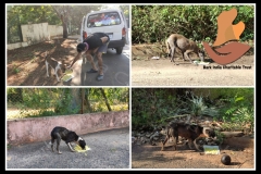 1_PicsArt_06-06-09.07.08