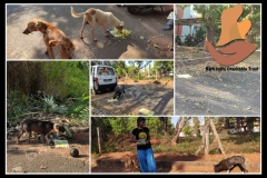 1_PicsArt_06-06-09.40.09