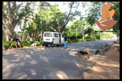 1_PicsArt_06-11-09.28.04