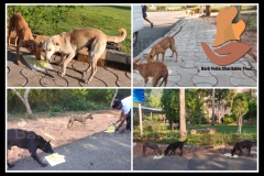 1_PicsArt_06-11-09.30.56