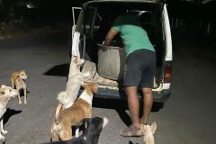 IMG-20230201-WA0028
