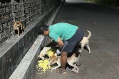 IMG-20230201-WA0032
