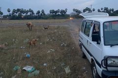 IMG-20230202-WA0006
