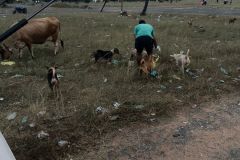 IMG-20230202-WA0008
