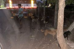 IMG-20230202-WA0011