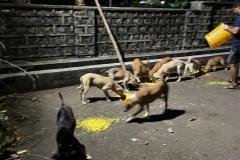 IMG-20230214-WA0028