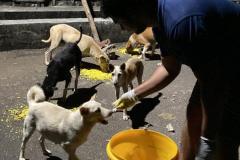 IMG-20230214-WA0033