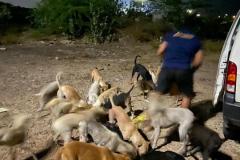 IMG-20230214-WA0038