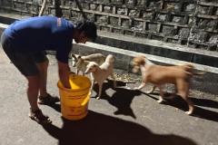 IMG-20230214-WA0040