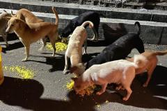 IMG-20230214-WA0043