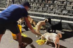 IMG-20230214-WA0045