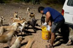 IMG-20230214-WA0049