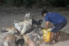 IMG-20230214-WA0053