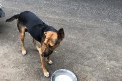 IMG-20230215-WA0023