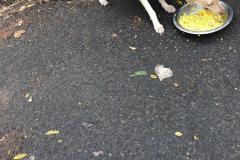 IMG-20230215-WA0025