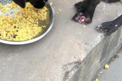 IMG-20230215-WA0026